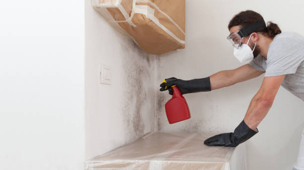 Professional Bathroom Mold Removal technician working in Elgin, OR